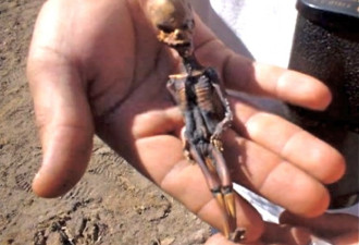 外星人被证实为夭折女婴，智利:文物被偷了！