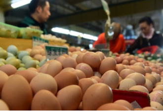 吃不起天价猪肉 鸡蛋价格也一周急升14%