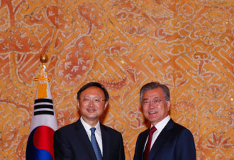 杨洁篪与文在寅会晤 呼吁推进韩朝美朝首脑会谈