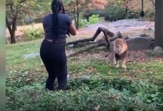 那名在动物园狮子面前跳舞的美国女子被捕