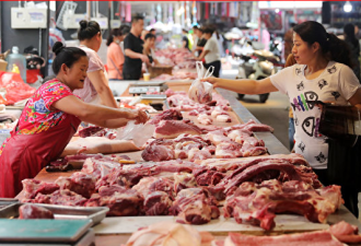 缺口难填 中国罕见批准从巴西进口猪内脏