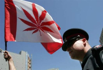 万锦民宅种植大麻恶臭扰民四年 竟然是合法的！