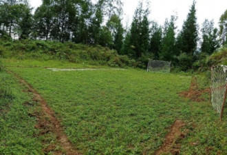 17岁农村娃把田地改成球场,每天疯狂练球6小时