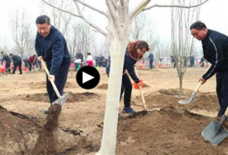 中国领导人集体义务植树：践行人人出力