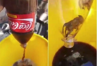 男子在未开封可口可乐中发现死老鼠