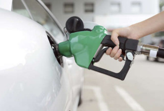 加拿大汽油价格急升 这个地方创了历史最高！