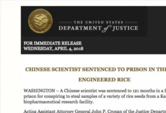 中国科学家因盗窃转基因大米惨被判刑