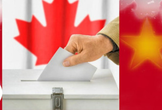 为何只用铅笔填选票 加拿大官方解释来了
