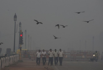 空气有多毒？印度被迫停课了
