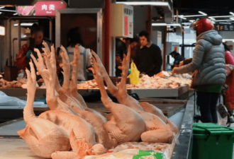 中美贸易谈判新进展：中国鸡肉获准出口美国