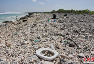 震惊!太平洋“垃圾带”面积大于法德西总和
