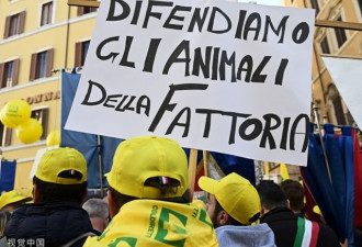 猪肉价格猛涨 意大利农民却在街头切香肠抗议