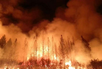 北加州野火终于控制 电力公司或赔近亿美元巨款