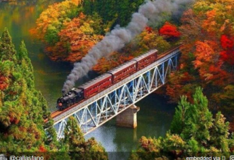 秋季赏枫火车票开售，带你看尽安省山谷！