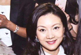 张艺谋小31岁娇妻近照曝光 妆容淡雅端庄气质佳