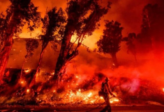 美加利福尼亚州再次爆发野火 多人逃离家园