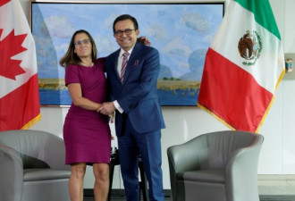 NAFTA:  墨西哥说 5月份有 80% 可能达成协议