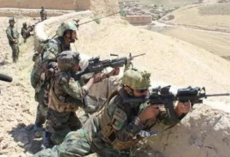 阿富汗军队击毙两中国人！疑为东突头目