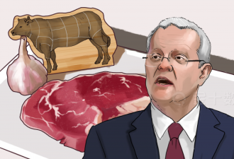 还未入中国市场，澳大利亚猪肉先涨60%？