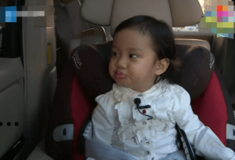 贾乃亮交女友，争夺抚养权被甜馨拒绝？