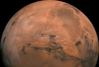 美禁止 俄默许，但火星酿酒有无限可能