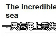 海上漂流3年 相机竟还能用,还找到日本主人