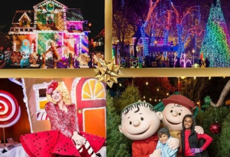 本周！加拿大Wonderland迎来盛大冬日冰雪节
