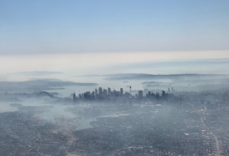 丛林大火致PM2.5爆表 等于一天抽40支烟