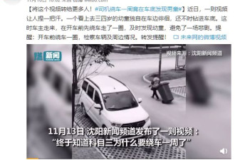 幼童钻进车底捡玩具,司机这个习惯救了两家人
