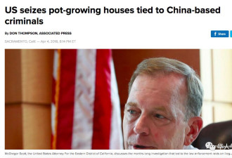 中国黑帮买数百屋 制造史上最大种大麻案