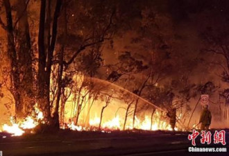 澳大利亚悉尼发生严重山火 两天两夜仍未受控