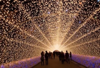 多伦多将迎来全世界最大的室内灯光节