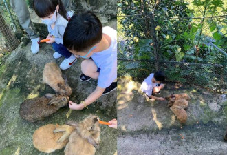 梁静茹离婚两月后走出阴霾？