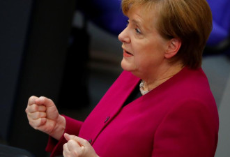 德国支持美法英空袭叙利亚 在野党批评