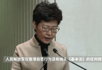《视频》林郑月娥：港府有能力应对局势
