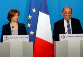 法国打爽了叙利亚后 出了一点子解决危机