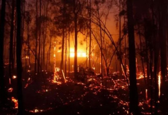 昆士兰再度爆发大规模山火 烈焰滔天浓烟围城