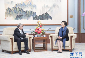 彭丽媛今日会见比尔·盖茨