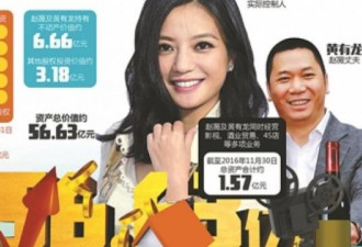 赵薇收购案上诉失败 疑被数百苦主追债