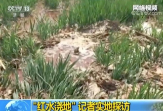 央视调查河北红水浇地:村民种粮自己不敢吃