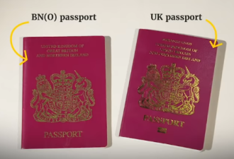 英议员要求首相给持BNO护照香港人公民权