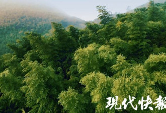 习近平13年前说了一句话，如今这里很惊艳！