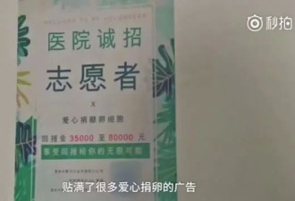 高校现&quot;爱心捐卵&quot;小广告捐1次得3万 真相曝光