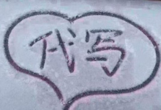 加拿大华人发家致富新商机！雪地代写