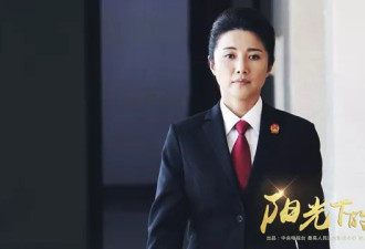中国热播剧里的副部级女主角，到底说的谁？