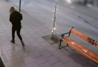 20岁女孩繁华街头离奇失踪 一场谋杀震撼冰岛