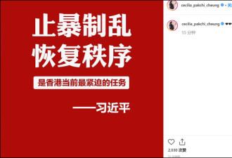 张柏芝在国内外社交平台发声支持止暴制乱