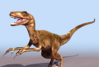 中国科学家发现美颌龙类新物种 体长仅30厘米