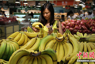 日本研发耐寒香蕉 一盒3根装售价约人民币284元