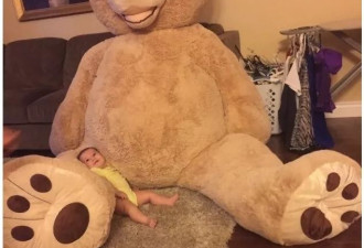 妈妈给孩子床上放了个泰迪熊 却就此酿成大祸